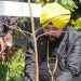 Daler Mehndi Green Drive Plants the Trees in Sri Suru Nanak Khalsa College with high voltage performances